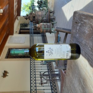 VINO BIANCO TREBBIANO