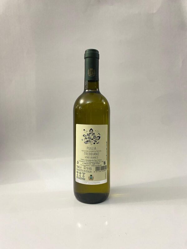 Vino Bianco – Vino Trebbiano a IGP ” PUGLIA” in bottiglie da Lt. 0,75