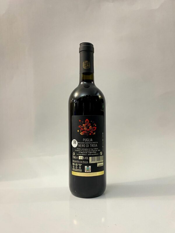 Vino Rosso – Troia a IGP ” DAUNIA” in bottiglie da Lt. 0,75